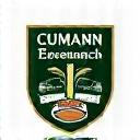 Lógó Cumann Éireannach Rugby