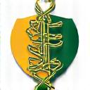Lógó Fhoireann Haca na nGael